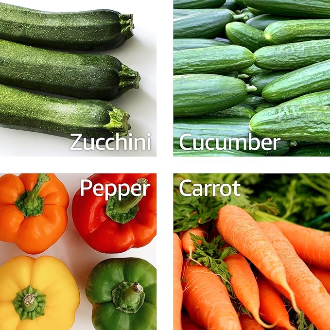 Lurch Germany Julienne Vegetable Y Peeler 5.1 x 2.3 Inches / 13 cm x 6 cm | Stainless Steel Cutter & Slicer for Carrot, Potato & Apple | Veggie Zoodles Maker | Non-slip Comfortable Handle - Black