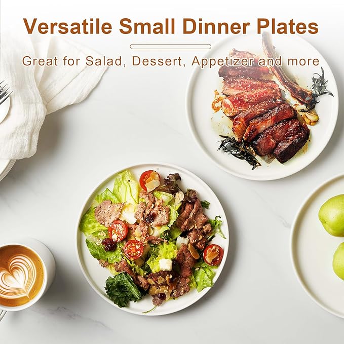 Jassceram 8.5 Inch Small Dinner Plates, Ceramic Flat Plates for Salad, Dessert and Appetizer - Microwave, Oven and Dishwasher Safe, Scratch Resistant and Lead-free, High Edge Dish Set, Set of 6, White