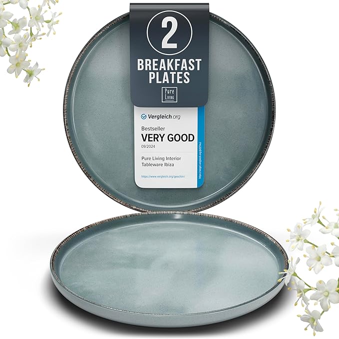 Stoneware Small Dinner Plates Set of 2, Modern Rustic -Style, 7.9"" Ceramic Plates, Dishwasher, Microwave Safe, Kitchen Plates-Rustic Blue, Large
