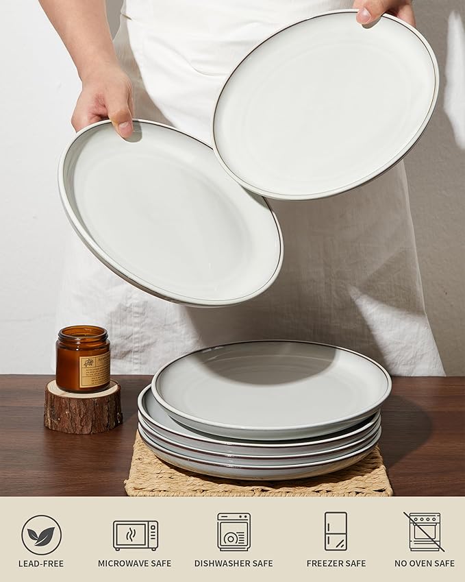 10 Inch Ceramic Plates, White Dinner Plate Set for Dessert Pizza Steak, Terracotta Kitchen Stoneware Serving Dishes Set, Dishwasher & Microwave Safe, Scratch Resistant