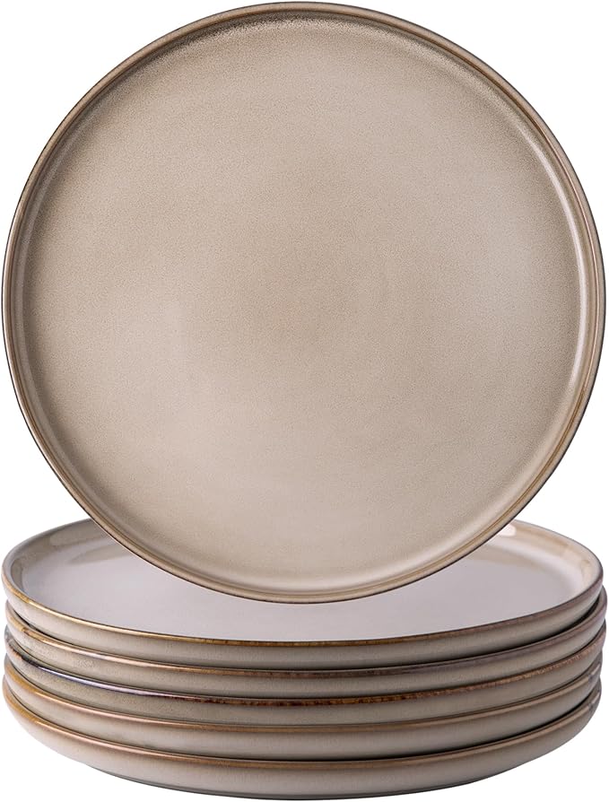 AmorArc Dinner Plates Set of 6, 10.5 Inch Reactive Glaze Ceramic Plates Set, Microwave, Dishwasher Safe, Scratch Resistant, Modern Large Dinnerware Dishes Set Kitchen Stoneware Plates