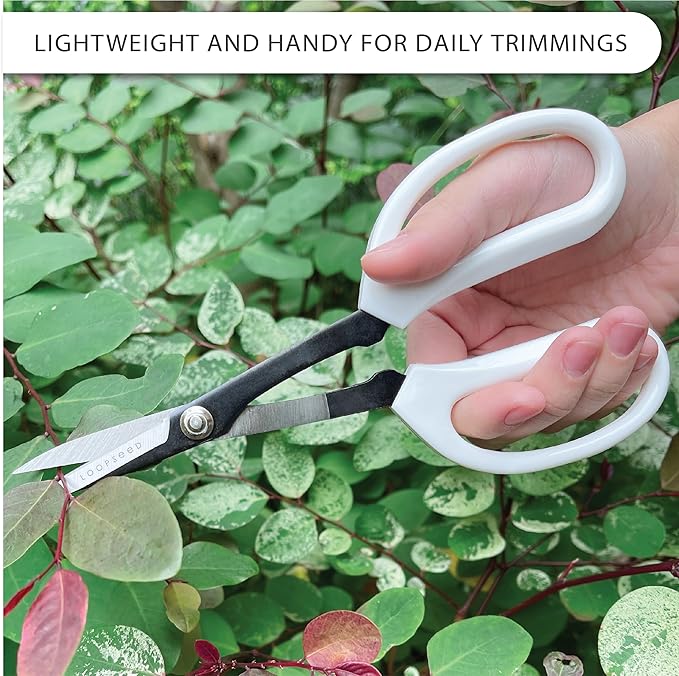Precision Gardening Scissors Plant Trimming Pruning Shears Garden Pruners for Orchid Bonsai Hydroponic Flower Clipper Garden Snip 8 Inch Long