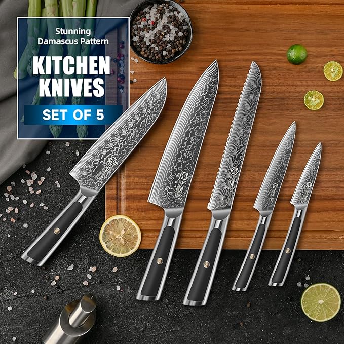Sunnecko Damascus Kitchen Knife Set 5 Piece, Sharp Chef Knife Set Professional Kitchen Knives Sets Full Tang with Gift Box