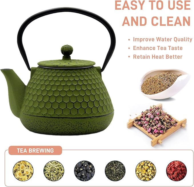 20.3oz Small Cast Iron Teapot for Personal, SECHUDO Tea Kettle for Stovetop Safe Coated with Enameled Interior, Green Tea Pot with Stainless Steel Infuser for Loose Tea (600ml)