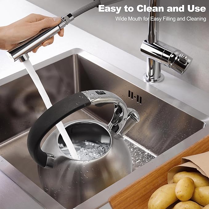 Stainless Steel Tea Kettle, Tea Kettles Stovetop, Vintage Whistling Teapot for Stove, Durable and Rust-Resistant, With a Pot Holder Included, 2.64 Quart(Brushed Style)