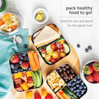 LunchBots Small Snack Packer Bento Box - Extra Small Divided Stainless Steel Snack Container - 2 Compartments for Fruits, Vegetables and Finger Foods - Dishwasher Safe – Stainless Lid