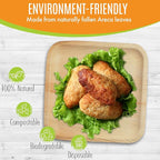 Raj Palm Leaf Plates Bulk [50-Pack] 10" Square Plates (20 CASES - 1000 PACK) like Bamboo plates Disposable, Strong, Decorative Compostable Tableware for weddings, Lunch, Dinner, Birthday etc