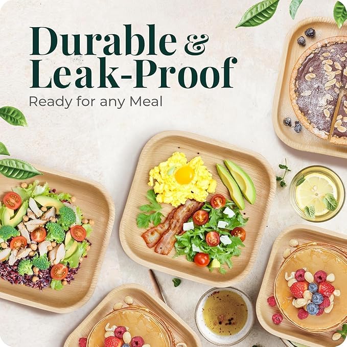 Palm Leaf Plates Bamboo Paper Plate Disposable 8 Inch 50 Bulk Appetizer Square Party Tableware Pack Biodegradable Compostable Wood Plate Better Plastic By KoalaLove