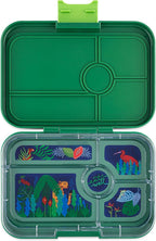 Yumbox TAPAS 5 compartment Larger Size Leakproof Bento Lunch Box (Palm Green Jungle)