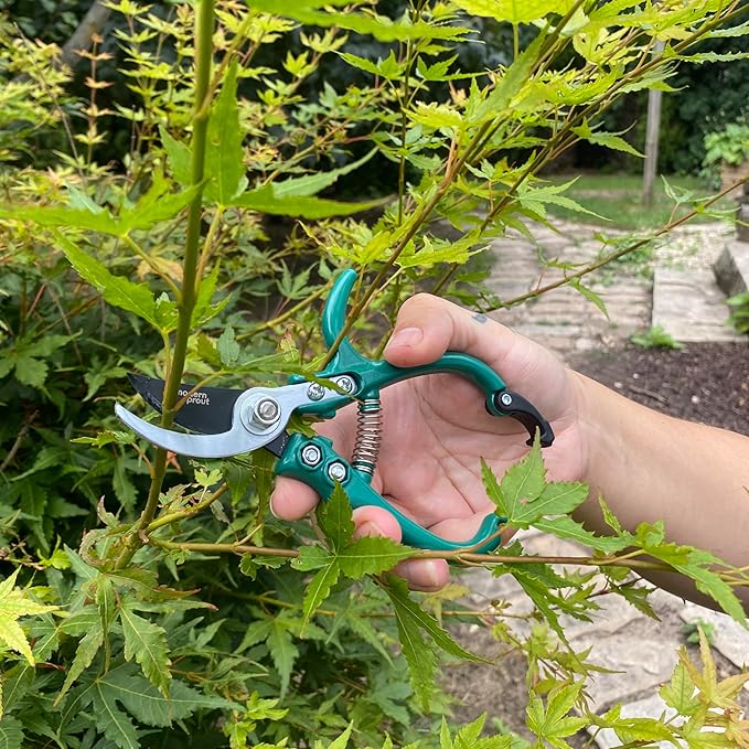 Modern Sprout Hand Pruners - Lightweight Pruning Shears W/Easy Lock- Gardening Scissors - Bypass Sharp Carbon Steel Blade - Rust Resistant - Garden Tools - Reusable Holster - Ocean