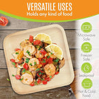 Raj Palm Leaf Plates Bulk [50-Pack] 10" Square Plates (4 CASES - 200 PACK) like Bamboo plates Disposable, Strong, Decorative Compostable Tableware for weddings, Lunch, Dinner, Birthday, Camping