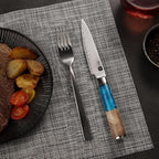 Kitchen Utility Knife 5 Inch, Japanese VG10 Steel Damascus Paring knife, Small Kitchen chef Knife with Gift Box and Resin Wood Handle, Ideal Birthday Gift for Men and Women