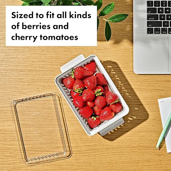 OXO Good Grips Produce Saver - Berry Keeper 2-Piece Set