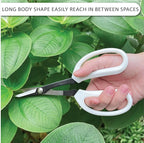 Precision Gardening Scissors Plant Trimming Pruning Shears Garden Pruners for Orchid Bonsai Hydroponic Flower Clipper Garden Snip 8 Inch Long