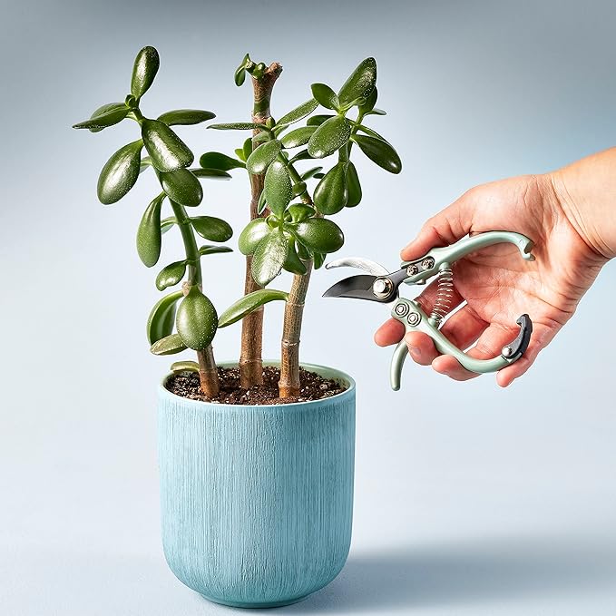 Modern Sprout Hand Pruners - Lightweight Pruning Shears W/Easy Lock- Gardening Scissors - Bypass Sharp Carbon Steel Blade - Rust Resistant - Garden Tools - Reusable Holster - Green