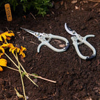 Modern Sprout Hand Pruners - Lightweight Pruning Shears W/Easy Lock- Gardening Scissors - Bypass Sharp Carbon Steel Blade - Rust Resistant - Garden Tools - Reusable Holster - Green