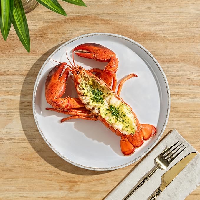 AmorArc 24 Pieces Ceramic Dinnerware Sets for 8, Handpainted Stoneware Plates and Bowls Set with Rustic Terracotta Underside, Scratch Resistant Dishes Set, Dishwasher & Microwave Safe, White