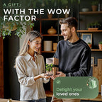 WALDWERK Electric Salt and Pepper Grinder Set (300 mAh Rechargeable Battery) - Salt and Pepper Shakers with Elegant Acacia Wood Stand – Rechargeable Automatic Salt and Pepper Grinder Set