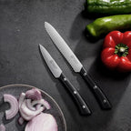 PAUDIN Knife Block Set, 15-Piece Knife Set with Block, High Carbon German Steel Kitchen Knife Set with Block and Sharpener, Sharp Knives Set for Kitchen, Precision Cutting with Ergonomic Handle