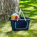 Picnic at Ascot Patented Collapsible Insulated Picnic Basket Equipped with Service For 4- Designed and Assembled in USA
