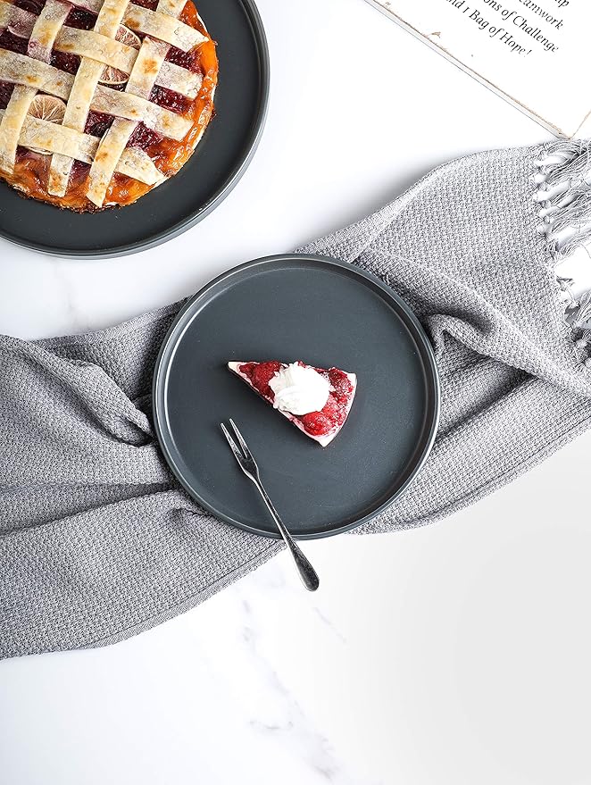 Stone Lain Stoneware Coupe - Celina Round Salad Plates Set, 4-Piece, Grey Matte