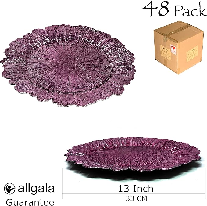 allgala 13-Inch 48-Pack Heavy Quality Round Charger Plates-Reef Purple-HD80338