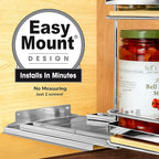 LYNK PROFESSIONAL® Élite™ Pull Out Spice Rack Organizer for Inside Kitchen Cabinets - 10-1/4 inch Wide - Slide Out Drawer – Wood/Chrome Sliding Spice Cabinet Organization Shelf Racks - 2 Tier