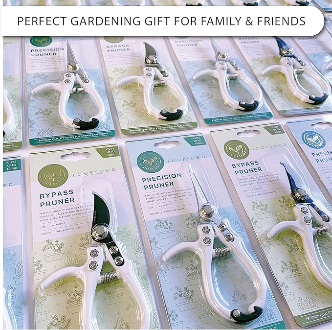 Plant Pruning Shears Garden Trimming Scissors Precision Hand Pruner Herb Snips Flower Clippers Bonsai Trimmers Straight Sharp Blade Tapered Tip Ergonomic Handle Garden Tools (Classic Cream)