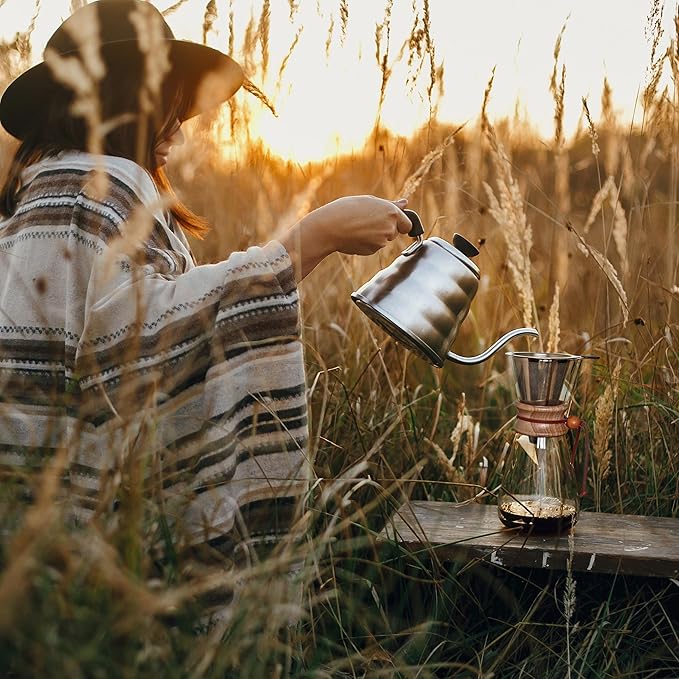 AGOGO Pour Over Coffee Maker Glass - 6/8/10 Cup Barista Kit with 304 Stainless Filter for Home, Office, Camping, Cafes - Easy Clean Coffee Dripper Set (Rag&Brush Included) (6 Cup/20 oz)