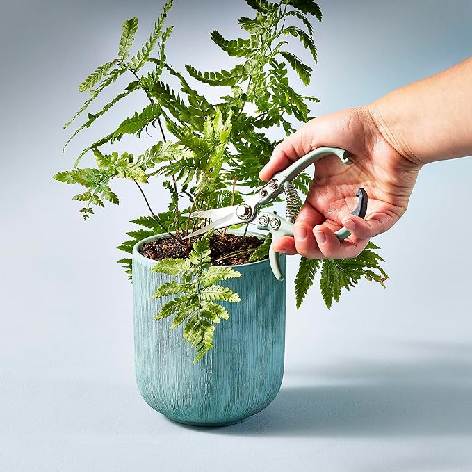 Modern Sprout Pruning Shears - Herb Snipping Scissors- Lightweight Gardening Tools W/Easy Lock - Flower Cutter Garden Shears - Carbon Steel Blade + Reusable Holster (Green, 1-Pack)