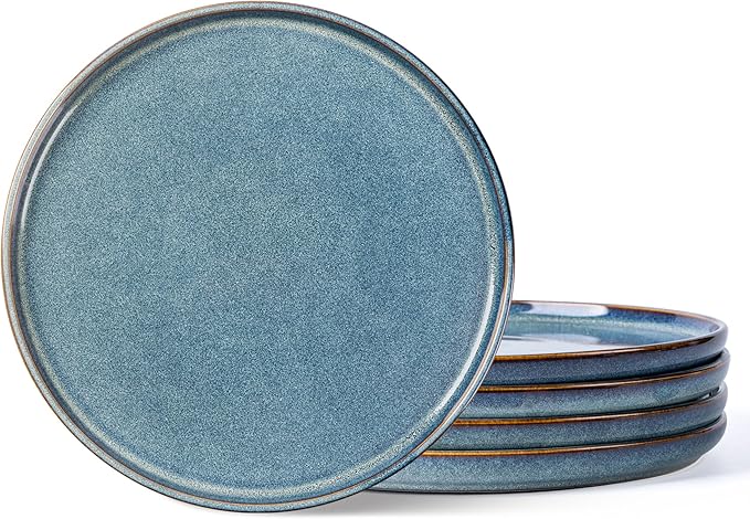 AmorArc Dinner Plates Set of 6, 10.5 Inch Reactive Glaze Ceramic Plates Set, Microwave, Dishwasher Safe, Scratch Resistant, Modern Large Dinnerware Dishes Set Kitchen Stoneware Plates