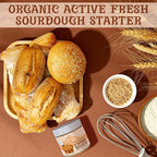 Living Dough - 400 Year Old History Black Death Sourdough Starter Culture - Active & Live Organic Sourdough Starter for Baking - For Artisanal Bread, Pizza Dough, Waffles & More