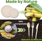 250 Piece Biodegradable Paper Plates Set – Sturdy Compostable Dinnerware with 7” & 9” Plates, Forks, Knives & Spoons – Eco-Friendly Disposable Party Supplies