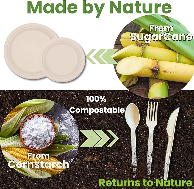 250 Piece Biodegradable Paper Plates Set – Sturdy Compostable Dinnerware with 7” & 9” Plates, Forks, Knives & Spoons – Eco-Friendly Disposable Party Supplies