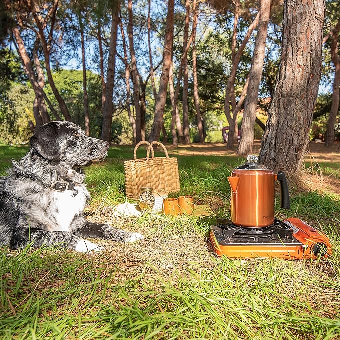 Mixpresso Copper Stainless Steel Coffee Percolator Stovetop, 37oz Classic Percolator Coffee Pot, Great For Camping Pot, 5-8 Cup Stove Top Espresso Maker, Cool-Touch Handle