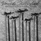 Piña Barware Swizzle Stick Stirrer - Stainless Steel with Smooth Matte Finish (One Swizzle Stick)